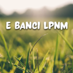 e Banci Ipnm