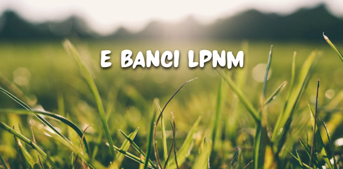 e Banci Ipnm